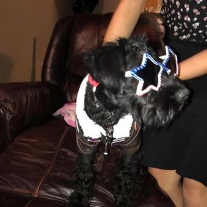 Meet your Posher, Abby